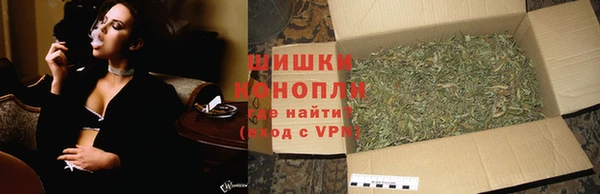 гашик Арсеньев
