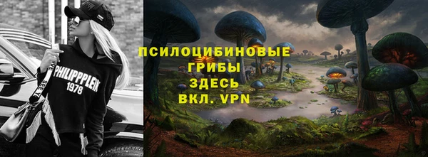 бошки Армянск