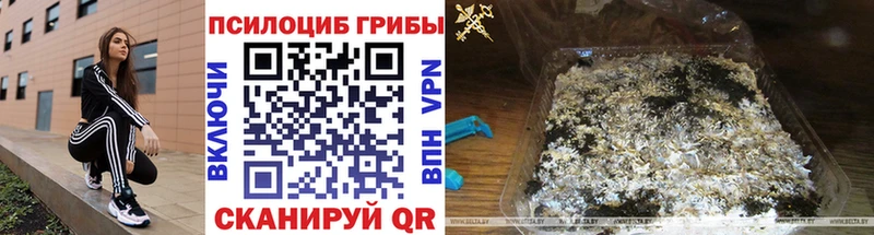 Псилоцибиновые грибы мухоморы  цена   Ахтубинск 
