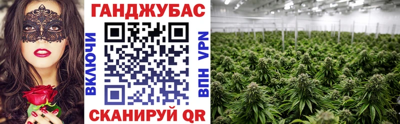 это наркотические препараты Ахтубинск Конопля Amnesia